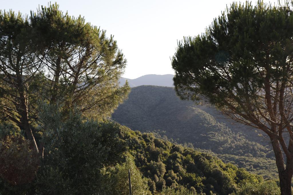 Mossa Dei Barbari Hotel Buriano (Grosseto)