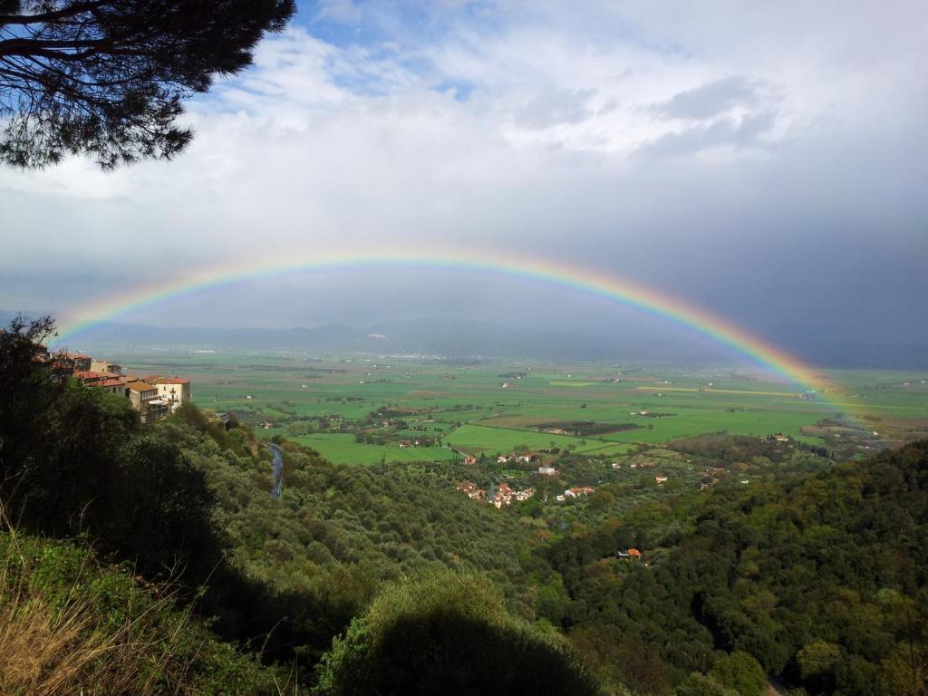 Mossa Dei Barbari Buriano (Grosseto)